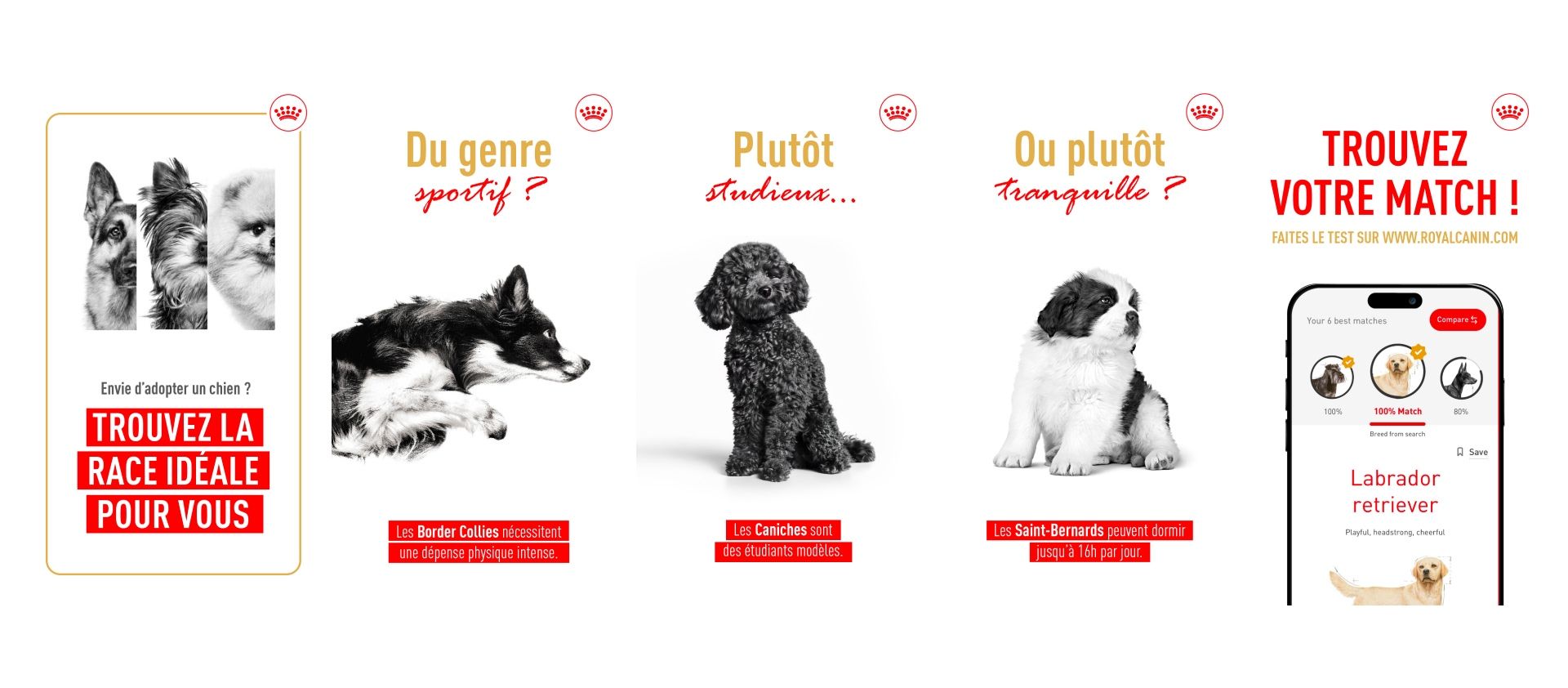 Breed Match Tool - Royal Canin