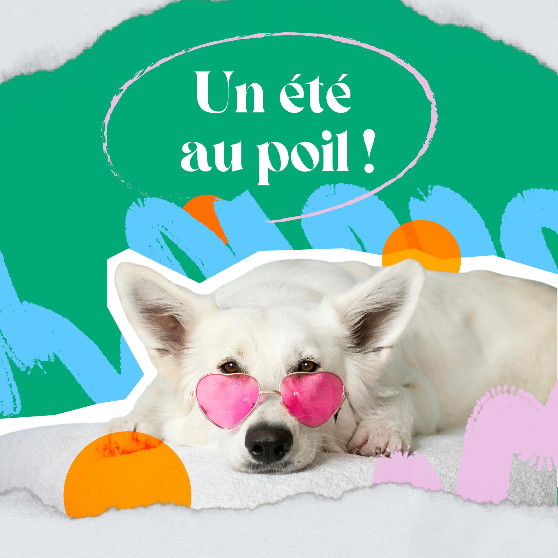 Un été au poil !