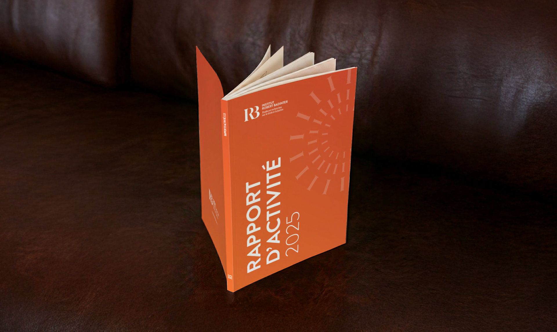 rapport-activite-institut-robert-badinter