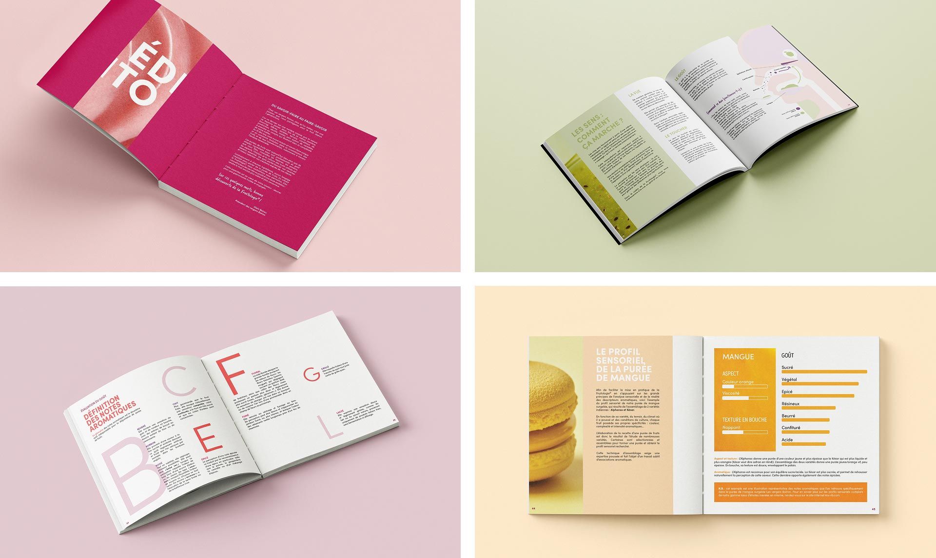 Montage de 4 photographie du livre blanc sur fonds pastels