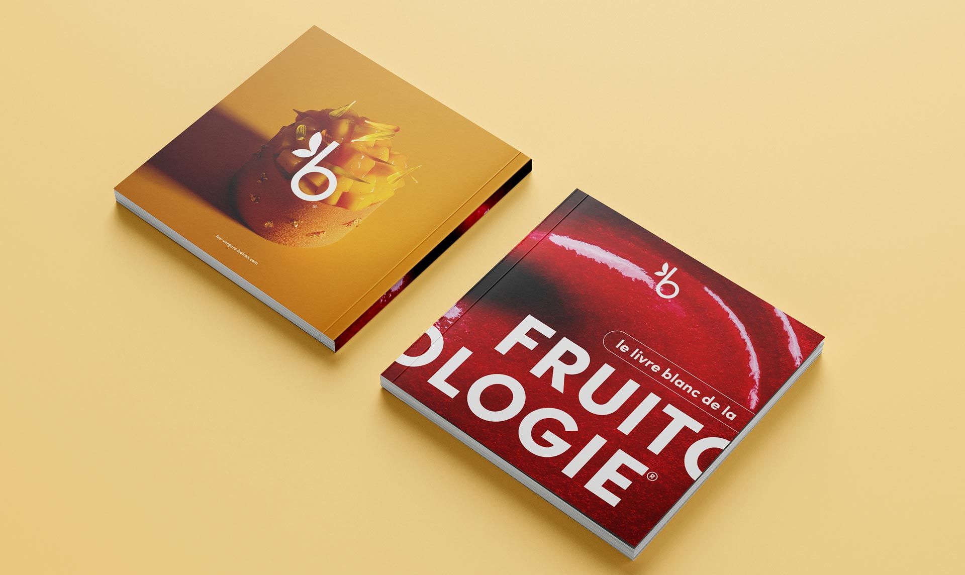 Première et quatrième de couverture du livre blanc sur fond