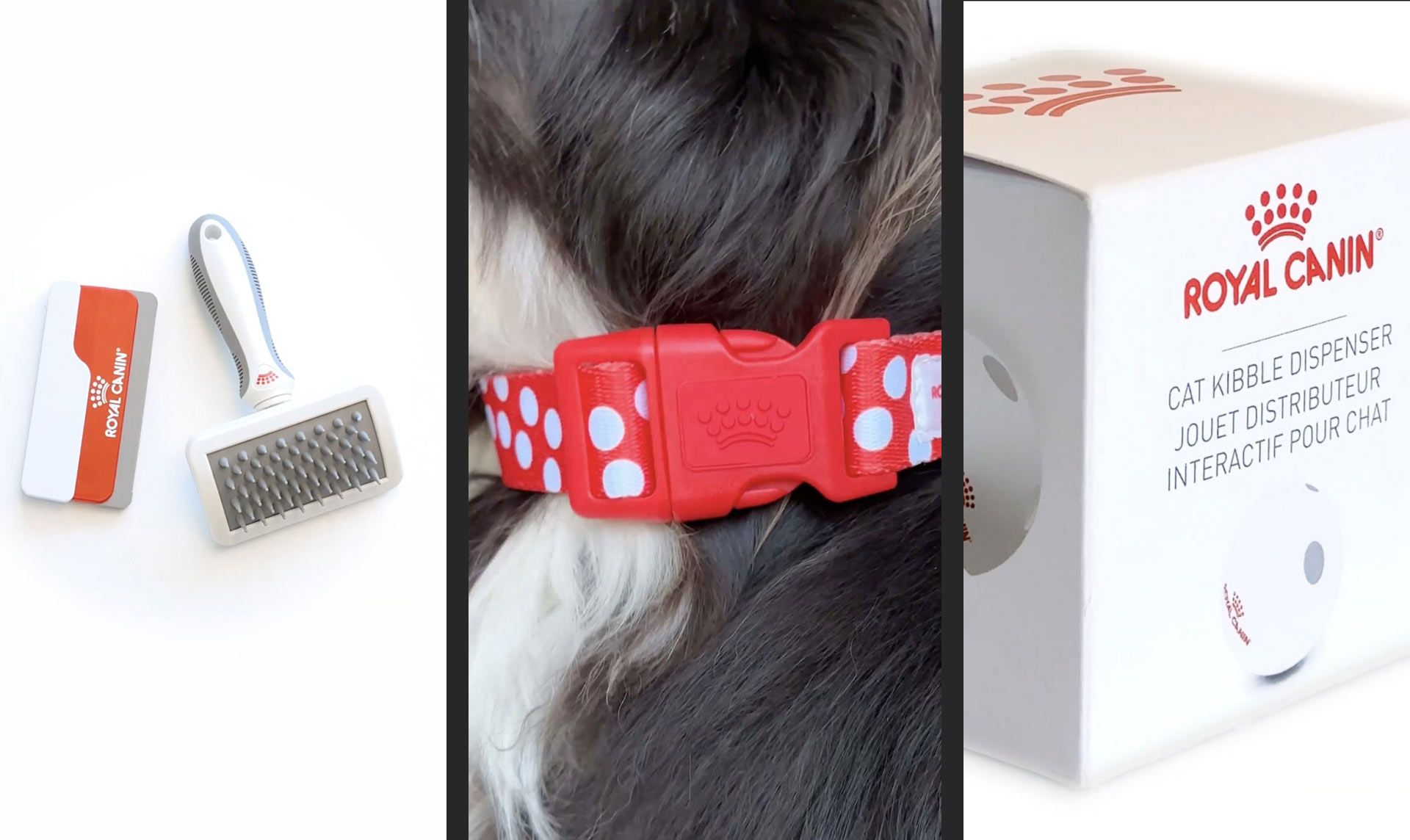 Montage de trois photographies : à gauche une brosse, au milieu le collier pour chien porté, à droite la boîte d'une balle