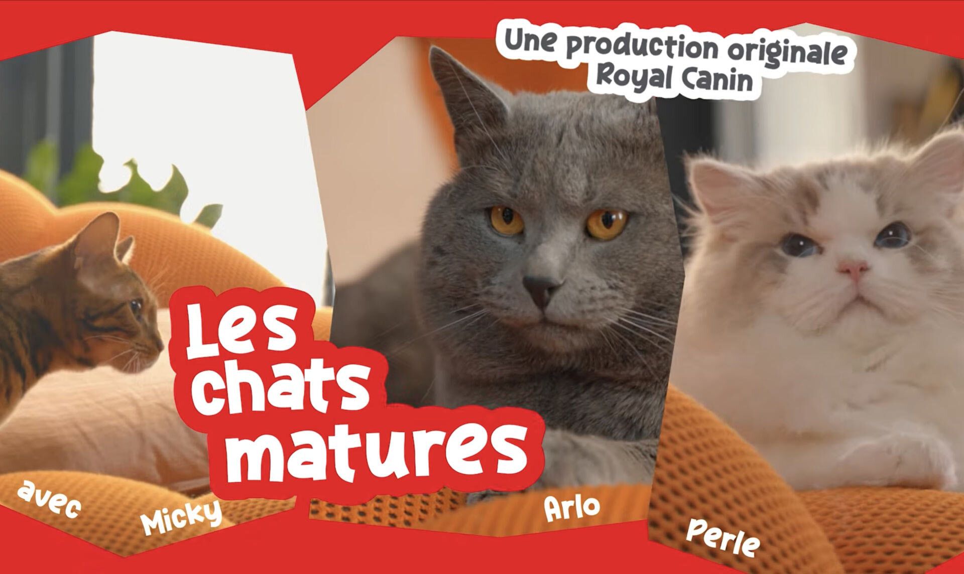 royal-canin-serie-digitale