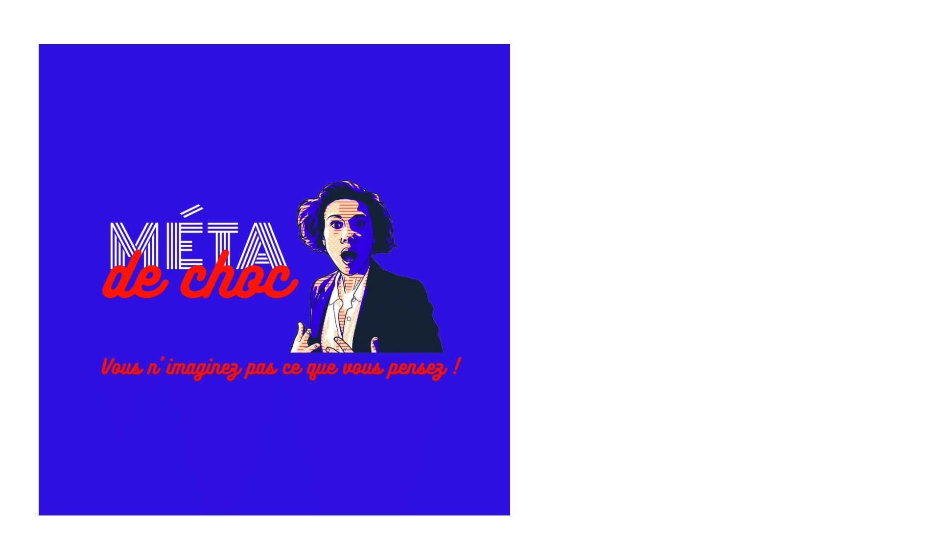 Texte "Méta de choc" écrit en deux polices différentes et couleurs différentes. Le tout est posé sur un fond bleu. La silhouette d'une personne choquée est sur le côté. En dessous écrit "Vous n'imaginez pas ce que vous pensez !"